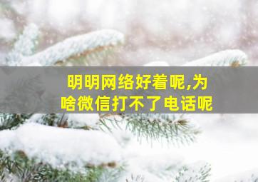 明明网络好着呢,为啥微信打不了电话呢