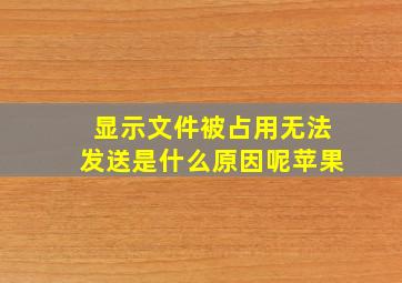 显示文件被占用无法发送是什么原因呢苹果