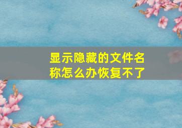 显示隐藏的文件名称怎么办恢复不了