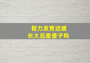 智力发育迟缓长大后是傻子吗