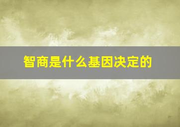 智商是什么基因决定的