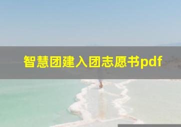 智慧团建入团志愿书pdf