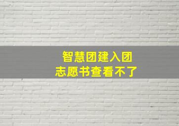 智慧团建入团志愿书查看不了