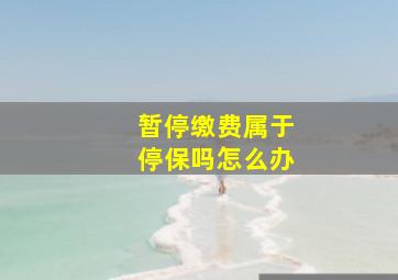 暂停缴费属于停保吗怎么办