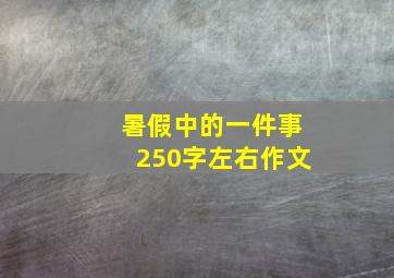 暑假中的一件事250字左右作文