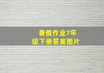 暑假作业7年级下册答案图片