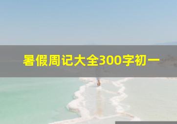 暑假周记大全300字初一