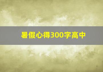 暑假心得300字高中