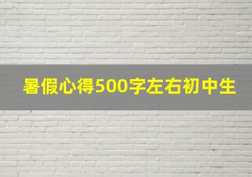 暑假心得500字左右初中生