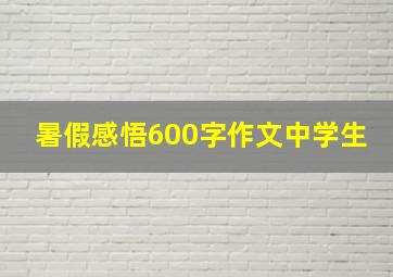 暑假感悟600字作文中学生