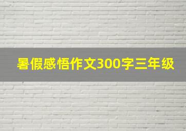 暑假感悟作文300字三年级