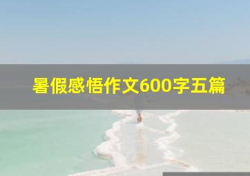 暑假感悟作文600字五篇