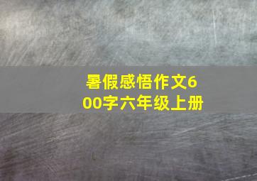 暑假感悟作文600字六年级上册