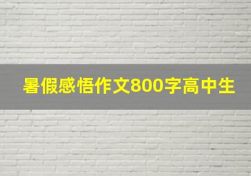 暑假感悟作文800字高中生