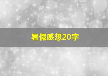 暑假感想20字