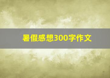 暑假感想300字作文