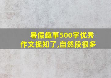 暑假趣事500字优秀作文捉知了,自然段很多