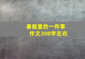 暑假里的一件事作文300字左右