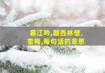 暮江吟,题西林壁,雪梅,每句话的意思