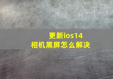 更新ios14相机黑屏怎么解决