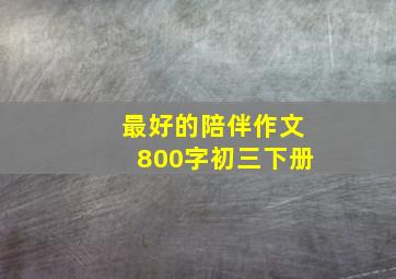 最好的陪伴作文800字初三下册