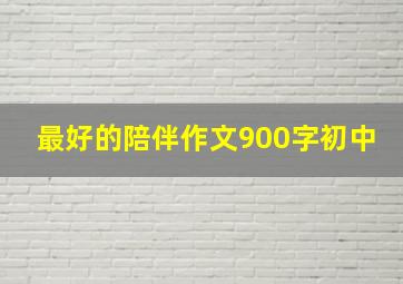 最好的陪伴作文900字初中