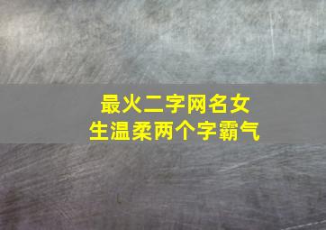 最火二字网名女生温柔两个字霸气