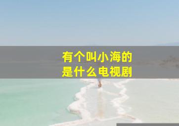 有个叫小海的是什么电视剧