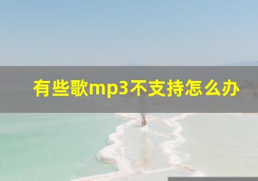 有些歌mp3不支持怎么办