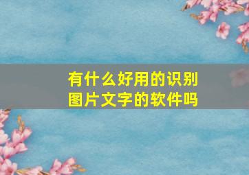 有什么好用的识别图片文字的软件吗