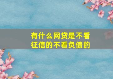 有什么网贷是不看征信的不看负债的