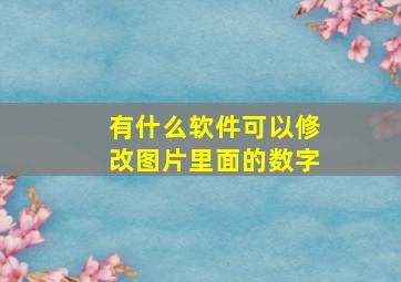 有什么软件可以修改图片里面的数字