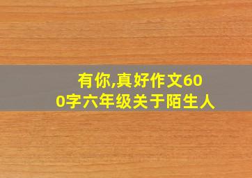 有你,真好作文600字六年级关于陌生人