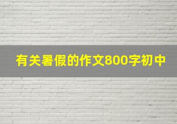 有关暑假的作文800字初中