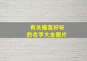 有关榴莲好听的名字大全图片