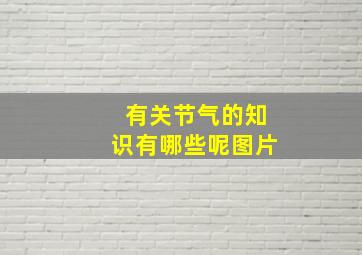 有关节气的知识有哪些呢图片