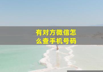 有对方微信怎么查手机号码