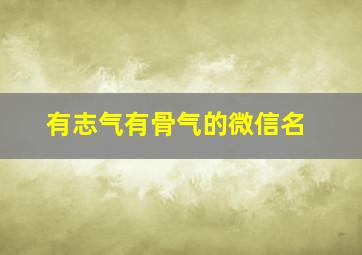 有志气有骨气的微信名