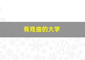 有戏曲的大学