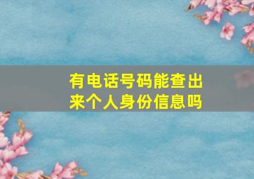 有电话号码能查出来个人身份信息吗