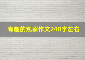 有趣的观察作文240字左右