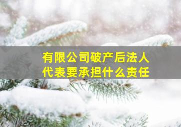 有限公司破产后法人代表要承担什么责任