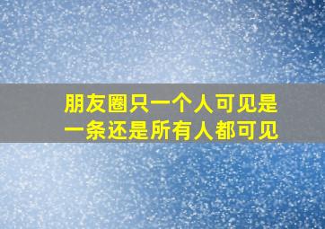 朋友圈只一个人可见是一条还是所有人都可见