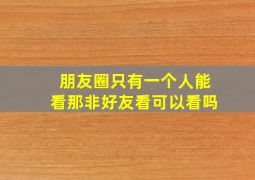 朋友圈只有一个人能看那非好友看可以看吗