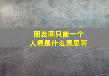 朋友圈只能一个人看是什么意思啊