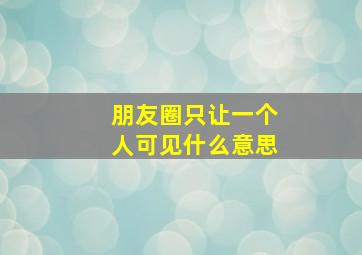 朋友圈只让一个人可见什么意思