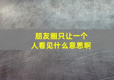 朋友圈只让一个人看见什么意思啊