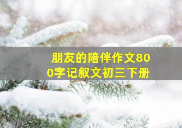 朋友的陪伴作文800字记叙文初三下册