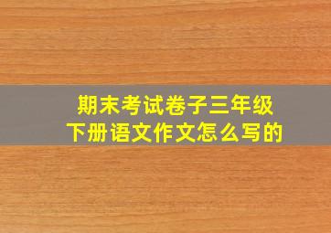 期末考试卷子三年级下册语文作文怎么写的