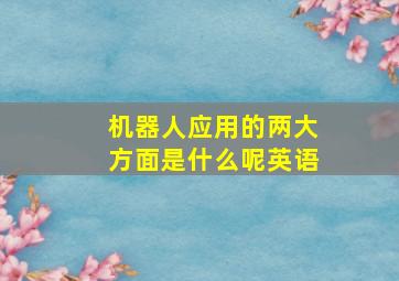 机器人应用的两大方面是什么呢英语